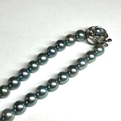 Akoya pearl necklace 7.5-8.0mm pearls with blue silver stamp on a 43cm chain