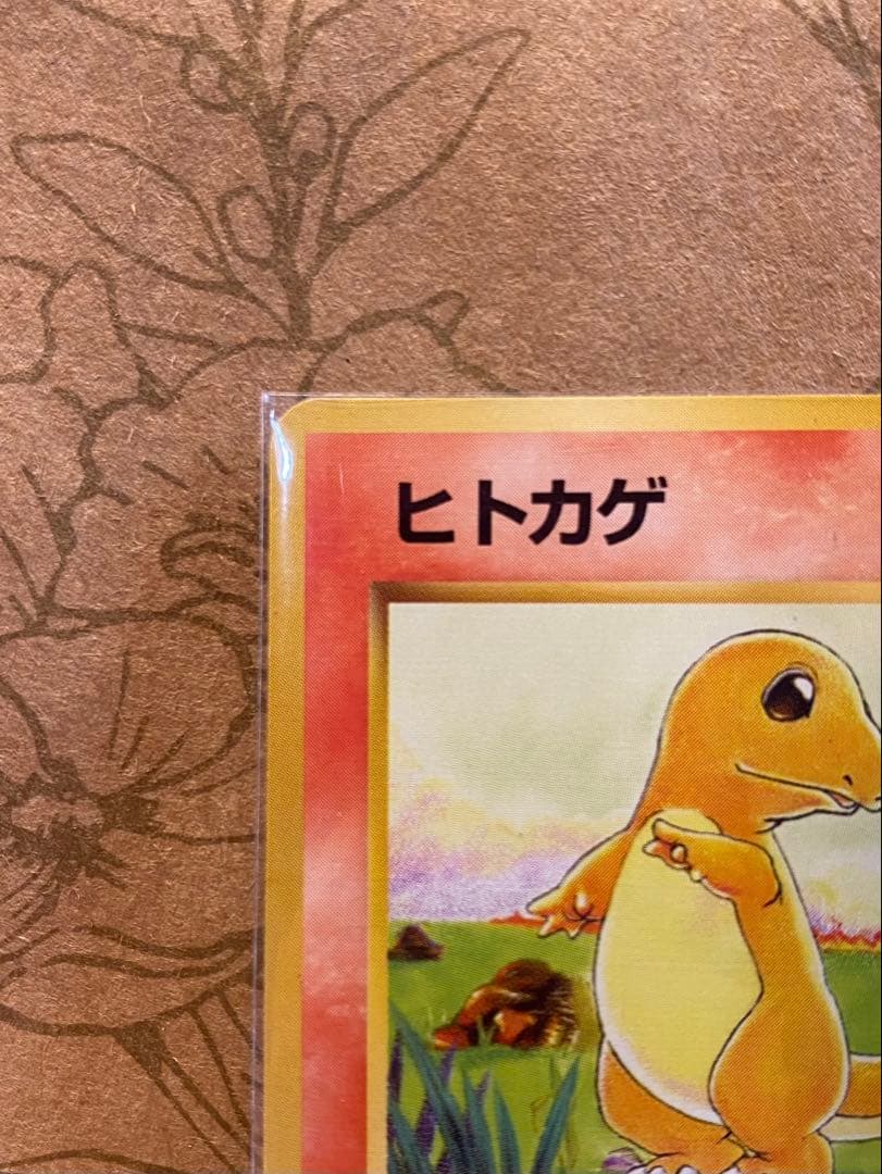Pokemon Charizard — Japanese