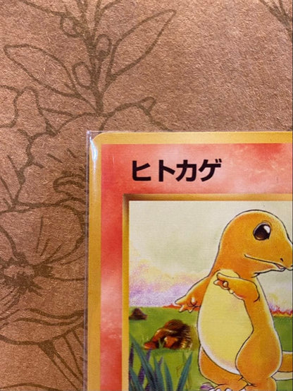 Pokemon Charizard — Japanese