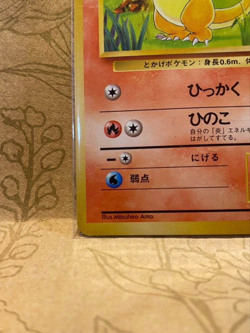 Pokemon Charizard — Japanese