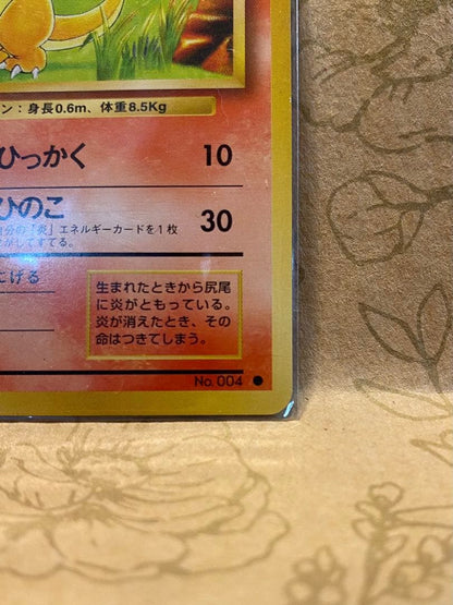 Pokemon Charizard — Japanese