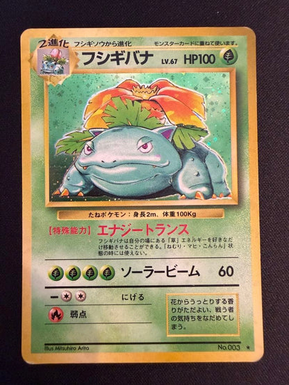 Pokemon Blastoise — Japanese