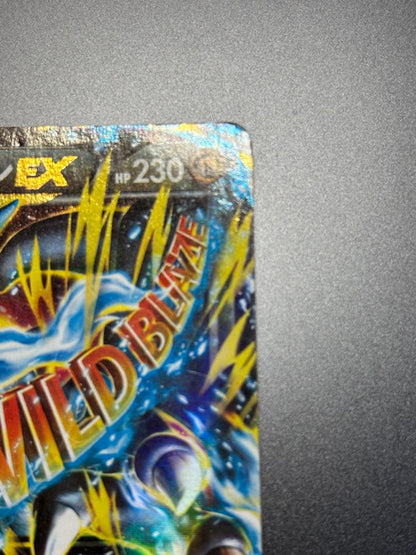 Pokemon Charizard ex RR — XY Expansion Pack Wild Blaze — Japanese