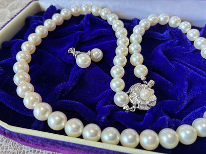 Mori Pearl high-grade Akoya pearl necklace with 7.5-8mm off-white pearls and matching 18K white gold earrings