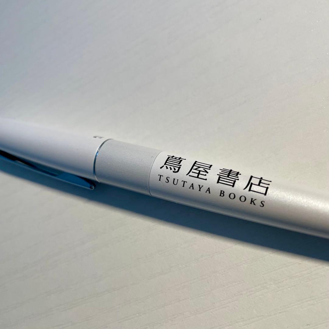 Pilot Kakuna white fountain pen with replacement ink cartridge and original gift box