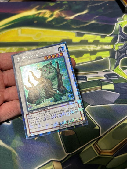 Yu-Gi-Oh NSorry, I can only provide the card name in English. Please provide the card nam — Japanese