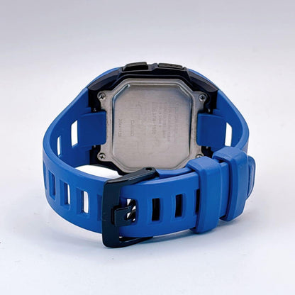 CASIO PHYS AQ-S810W-2B Solar Men's Watch — Japanese