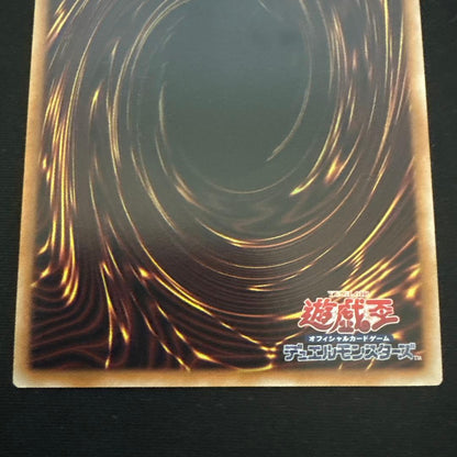 Yu-Gi-Oh Dark Rebellion XYZ Dragon — Japanese