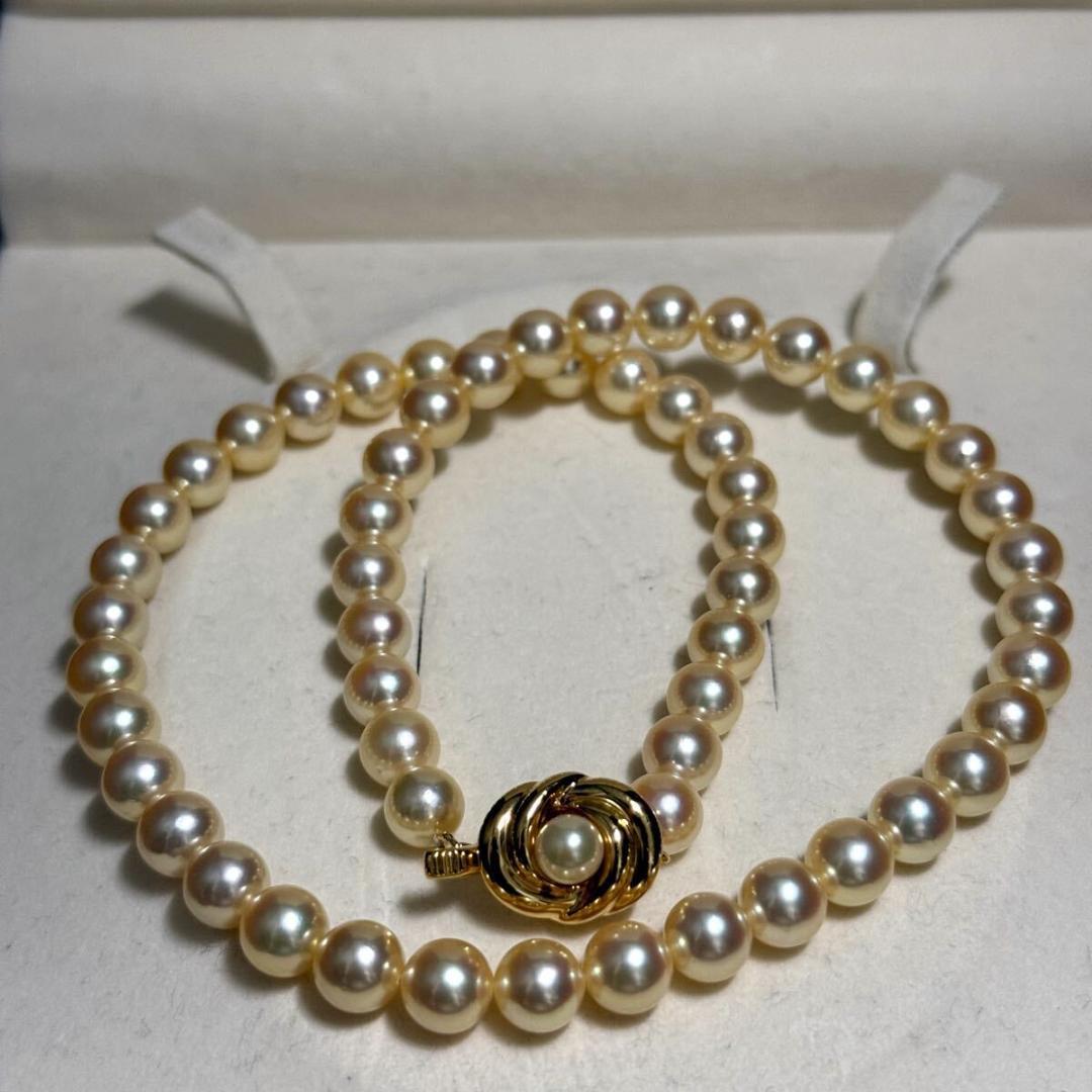 Tasaki Golden Pearl Akoya pearl necklace with 7.0-7.5 mm pearls and silver clasp on a 43 cm chain