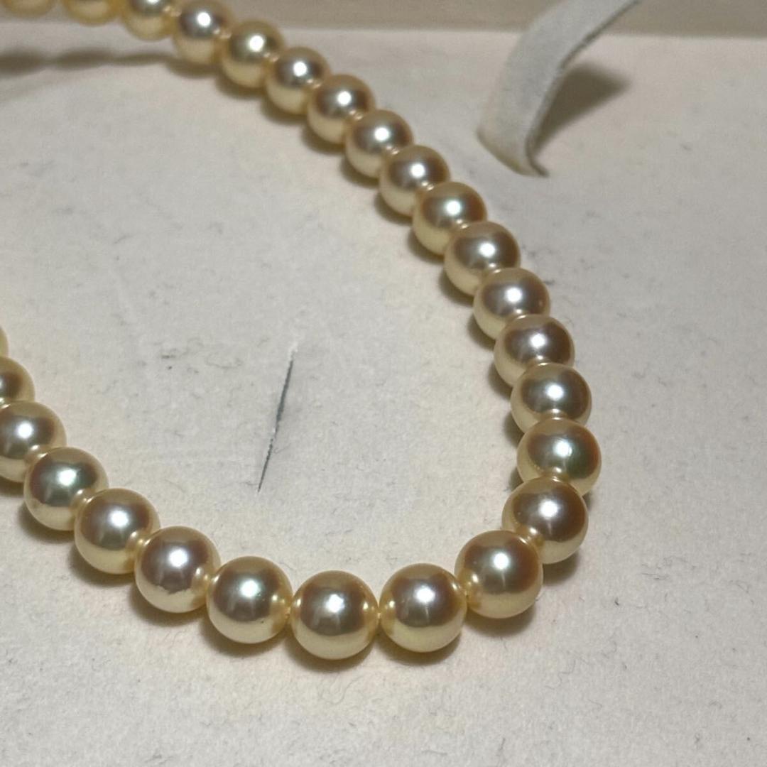 Tasaki Golden Pearl Akoya pearl necklace with 7.0-7.5 mm pearls and silver clasp on a 43 cm chain