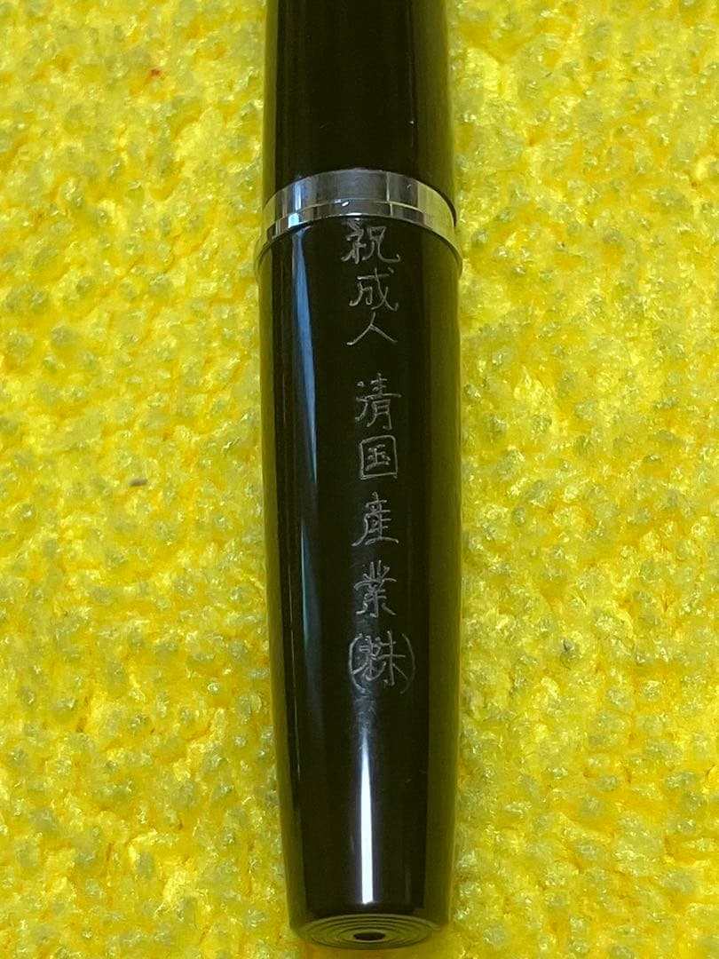 Pilot Elite fountain pen and mechanical pencil set with half-grid engraving and 14K gold fine nib