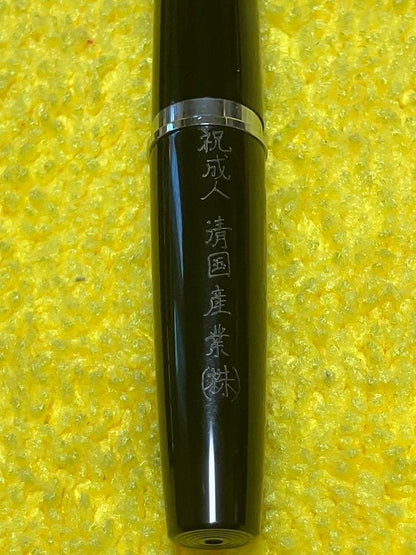 Pilot Elite fountain pen and mechanical pencil set with half-grid engraving and 14K gold fine nib