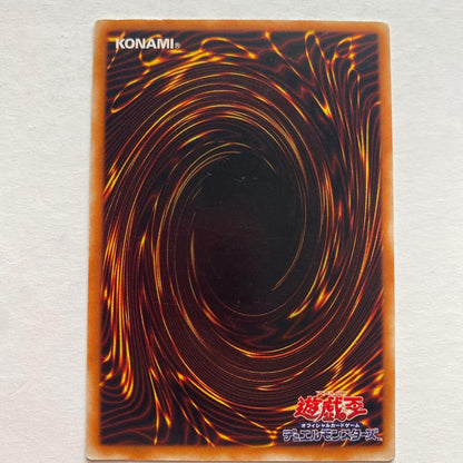 Yu-Gi-Oh Magician of Black Chaos — Japanese