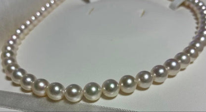 Akoya Flower Pearl Necklace with 7.5-8.0mm pink pearls, 43cm length, silver clasp, displayed on white background