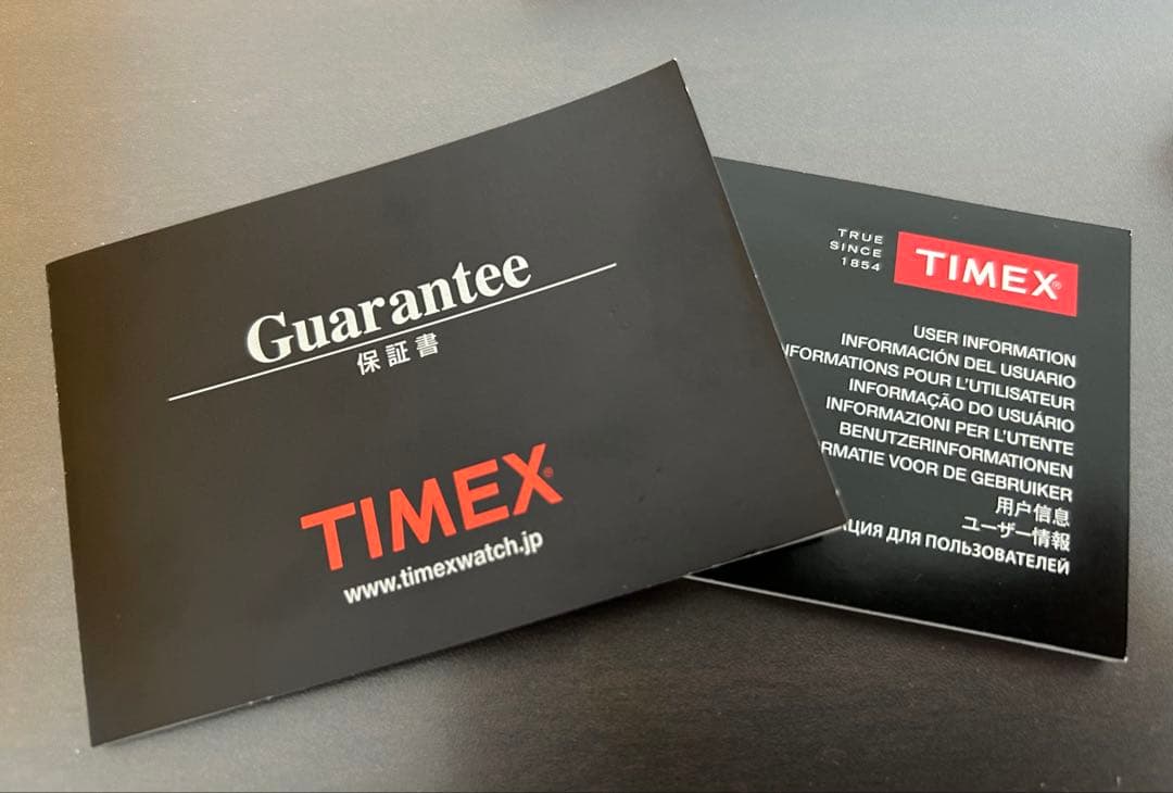 TIMEX Anniversary Edition Quartz Men's Watch — Japanese