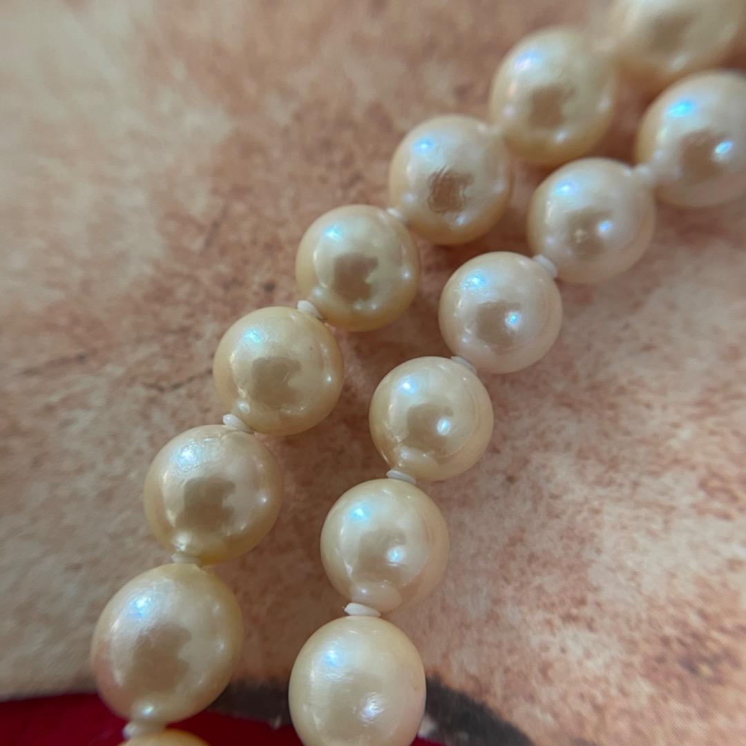 A33 Akoya pearl necklace with approximately 6mm genuine pearls on a 44cm cord