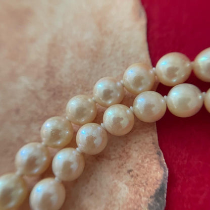 A33 Akoya pearl necklace with approximately 6mm genuine pearls on a 44cm cord