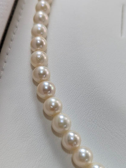 Akoya pearl necklace featuring 6.5-7mm white round pearls with silver clasp and 41cm length