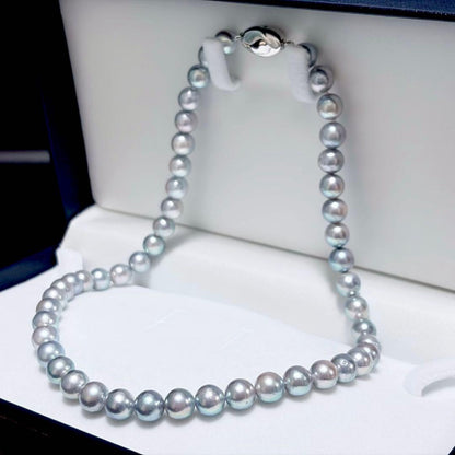 Akoya pearl necklace with 8.1-8.4mm gray pearls on a 43cm silver fastener chain