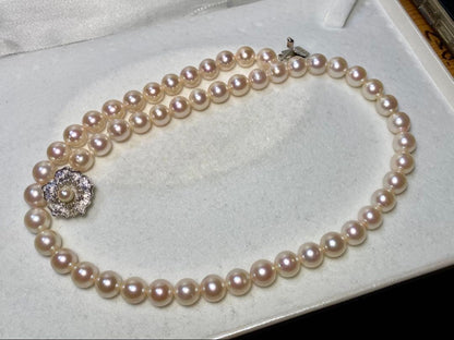 Seto Inland Sea Akoya pearl necklace with over 50 pearls, 7.8mm diameter, 43cm length, and silver clasp