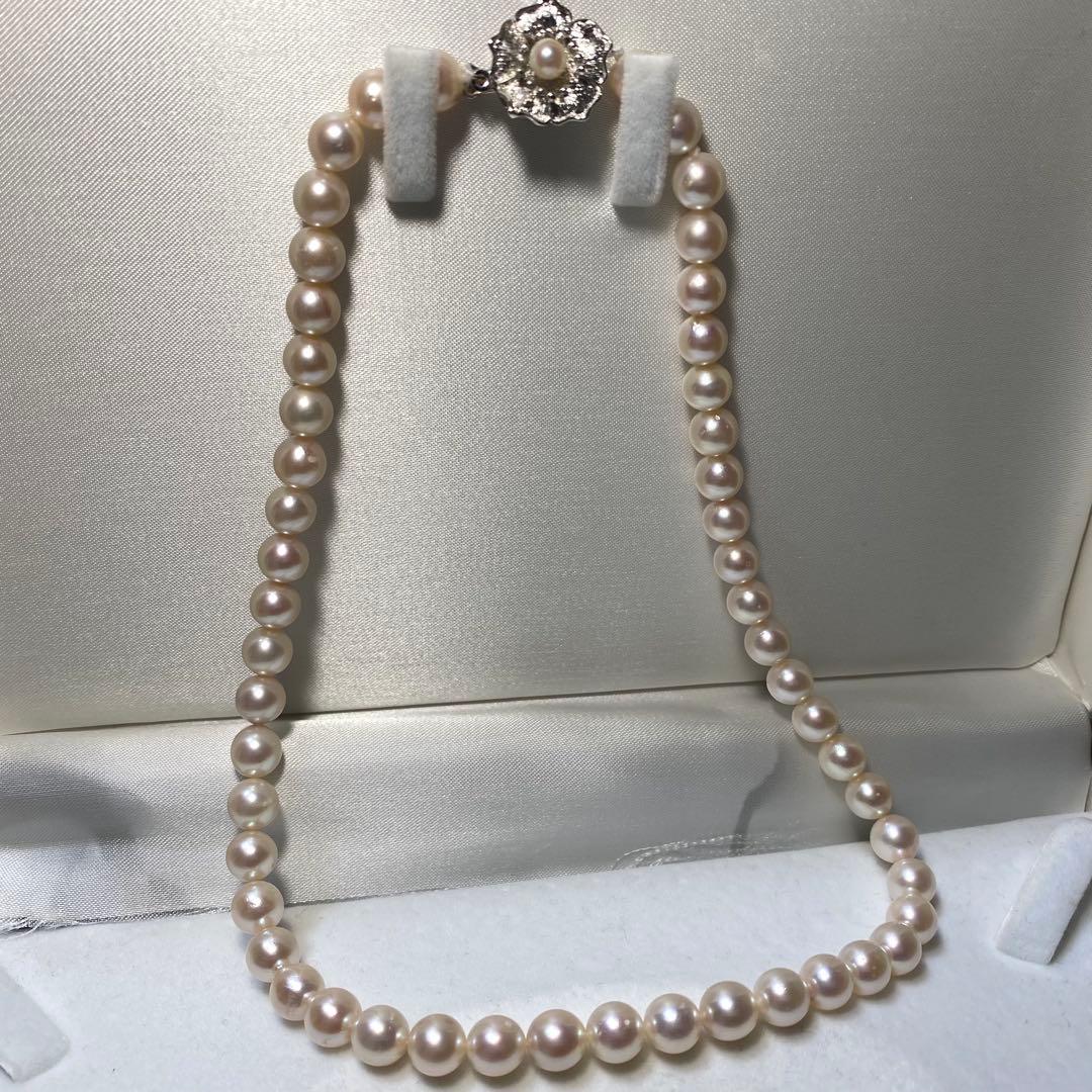 Seto Inland Sea Akoya pearl necklace with over 50 pearls, 7.8mm diameter, 43cm length, and silver clasp