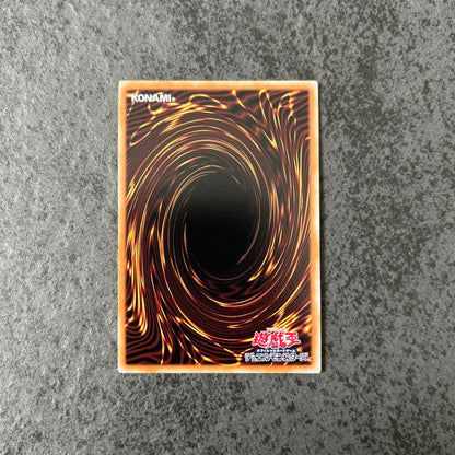 Yu-Gi-Oh Dark Magician Girl — Japanese