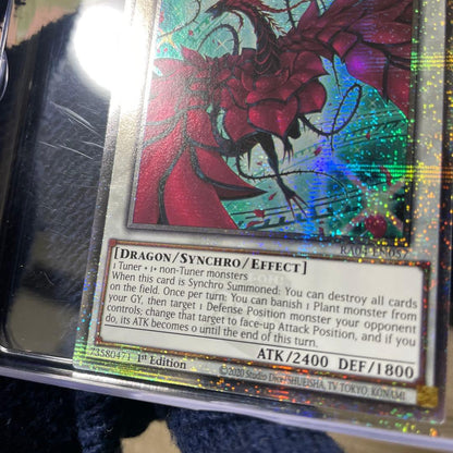 Yu-Gi-Oh Black Rose Dragon Version Classic 25th English EU Edition — English