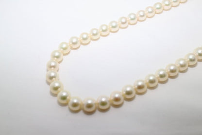 Tasaki pearl necklace featuring genuine 6.2mm pearls with impressed markings on a 42.5cm strand