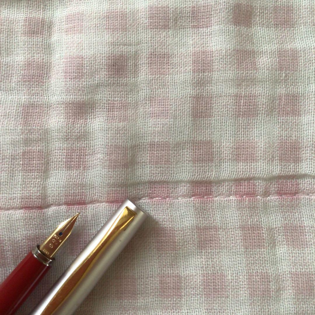 Pilot fountain pen with floral pattern design and fine nib, discontinued model