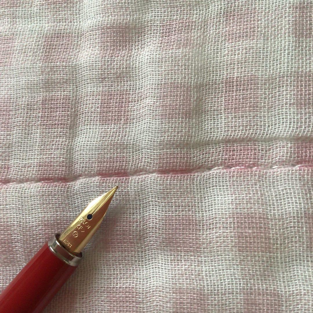 Pilot fountain pen with floral pattern design and fine nib, discontinued model