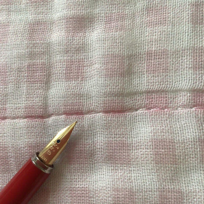 Pilot fountain pen with floral pattern design and fine nib, discontinued model