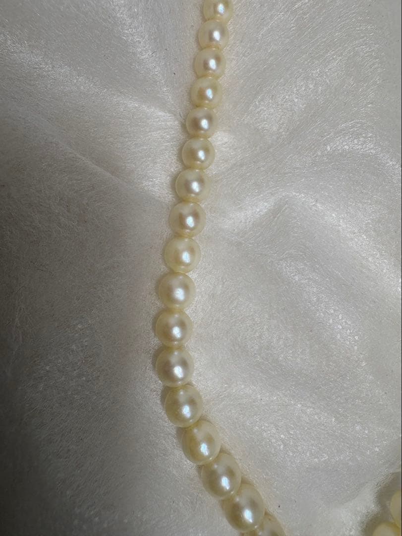 Mikimoto pearl necklace with white gold 14WG chain displayed alongside dedicated storage case