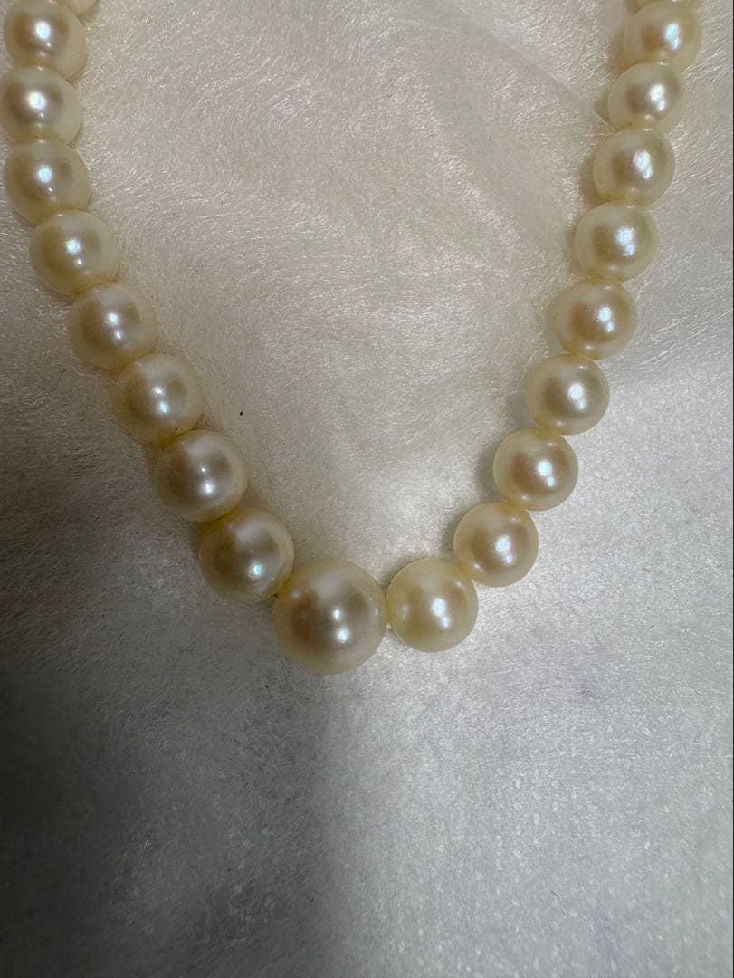 Mikimoto pearl necklace with white gold 14WG chain displayed alongside dedicated storage case