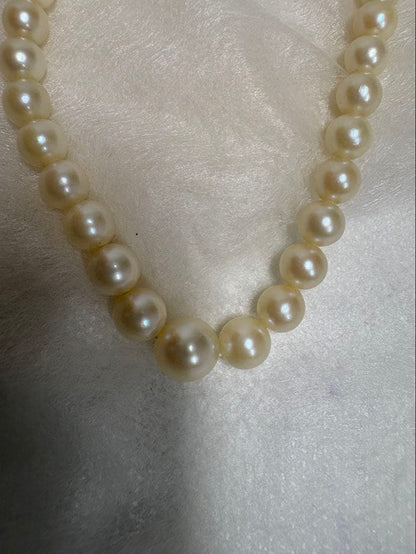 Mikimoto pearl necklace with white gold 14WG chain displayed alongside dedicated storage case