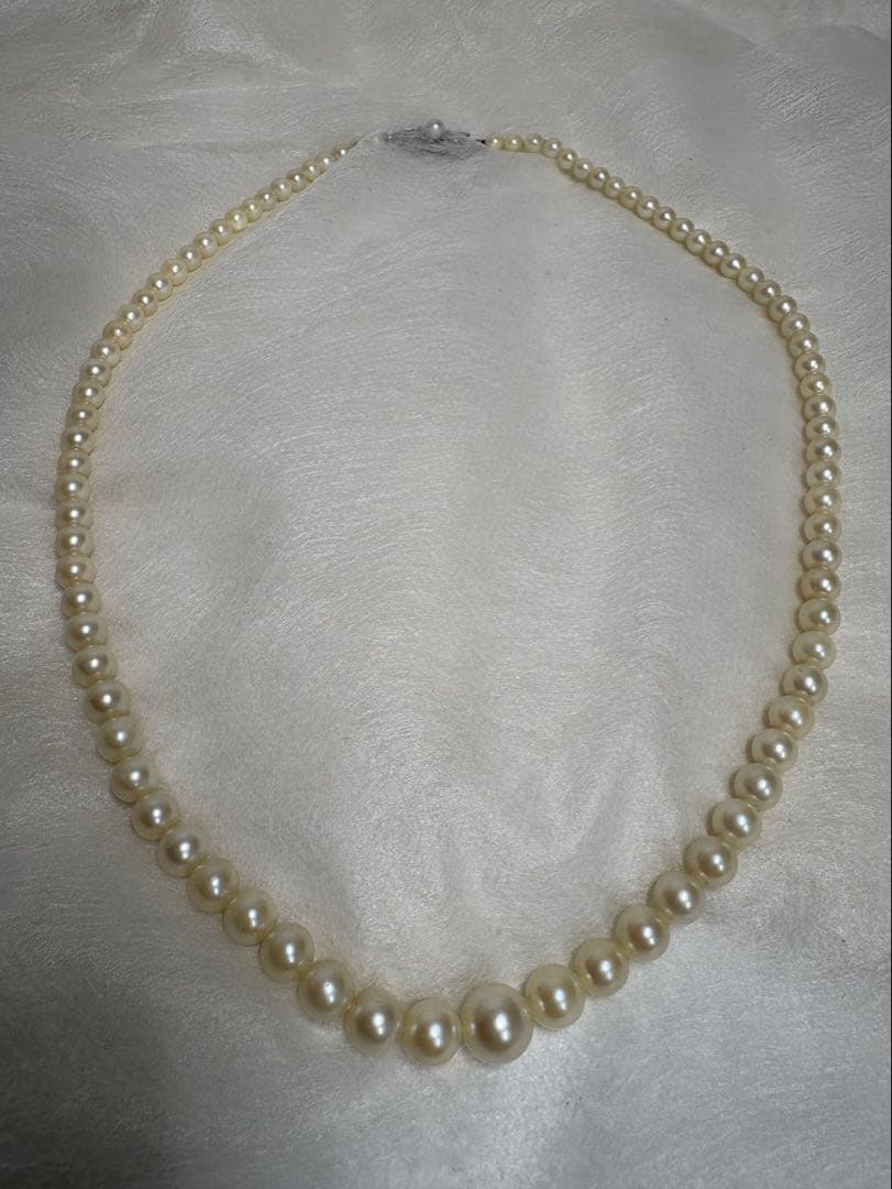 Mikimoto pearl necklace with white gold 14WG chain displayed alongside dedicated storage case