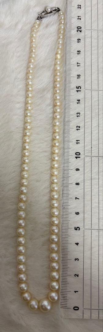 Mikimoto pearl necklace with white gold 14WG chain displayed alongside dedicated storage case
