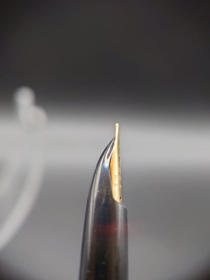 Close-up of PILOT Elite fountain pen featuring an 18k manifold nib in gold finish