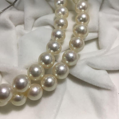 Akoya shell pearl necklace featuring 7mm pearls on an adjustable 44.5 to 49cm chain