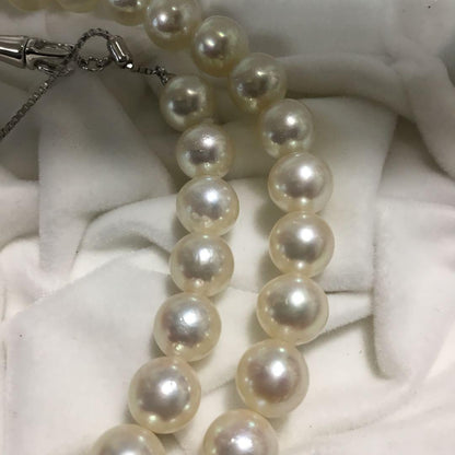 Akoya shell pearl necklace featuring 7mm pearls on an adjustable 44.5 to 49cm chain
