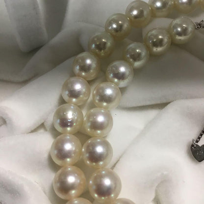 Akoya shell pearl necklace featuring 7mm pearls on an adjustable 44.5 to 49cm chain