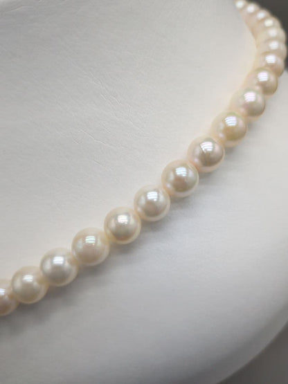 Akoya genuine pearl necklace with 7mm white pearls and silver clasp measuring 41.5cm