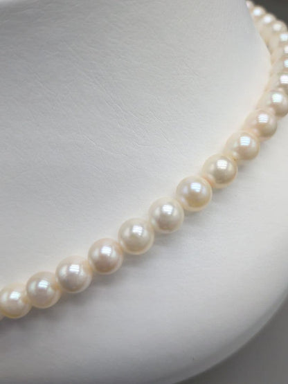 Akoya genuine pearl necklace with 7mm white pearls and silver clasp measuring 41.5cm