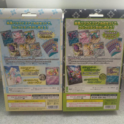 Pokemon Pokémon Card Collection File Set Leelee N 2-Set Pack — Japanese