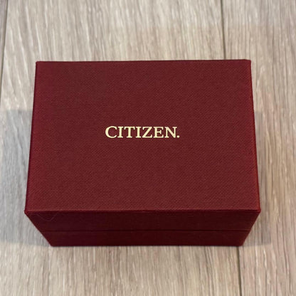 Citizen BN0210-87E Solar Men's Watch — Japanese