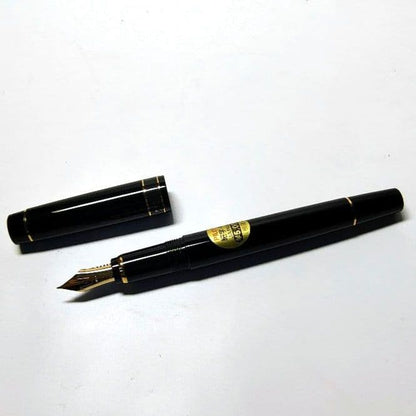 Unused PILOT ECRINO fountain pen with minor storage marks, shown in classic size