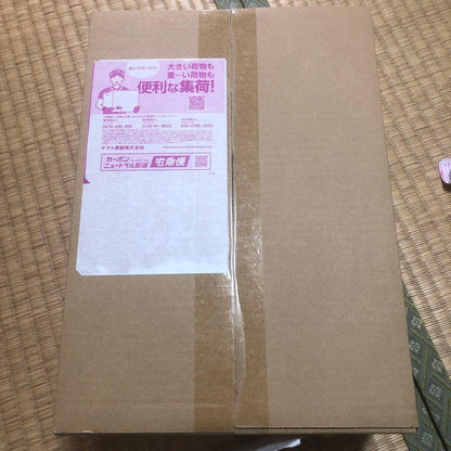 Pokemon Mega Gallade ex Box — Japanese