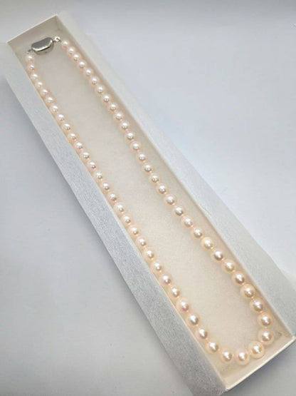 Close-up of an Akoya pearl necklace with 6.5-7mm pearls and a sterling silver clasp on a white background