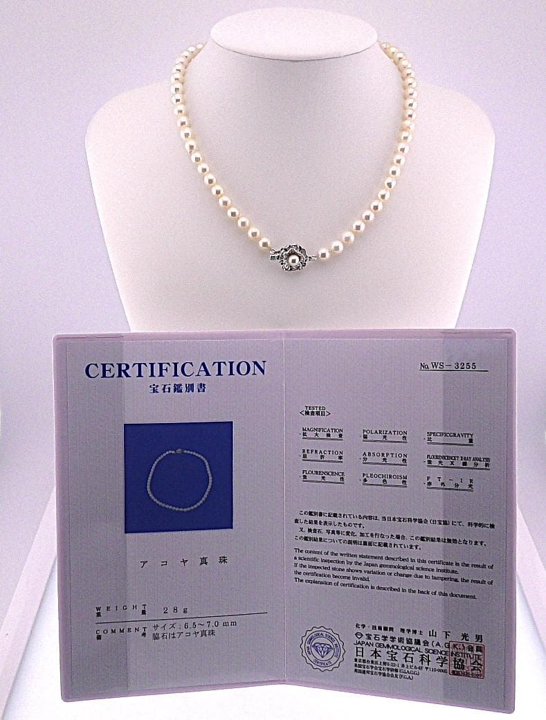 Aoyama pearl necklace featuring 6.5-7.0mm Akoya pearls with silver stamped fittings on a 42cm chain