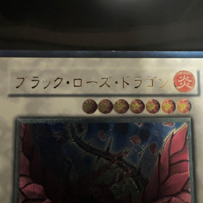 Yu-Gi-Oh Black Rose Dragon CSOC — CSOC-JP039 — Japanese