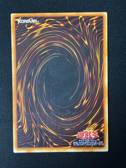 Yu-Gi-Oh Magician of Black Chaos — Japanese